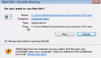 Installation window