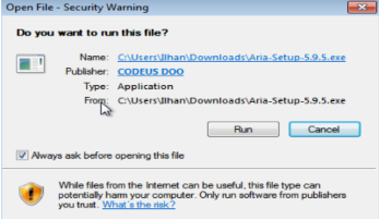Installation window